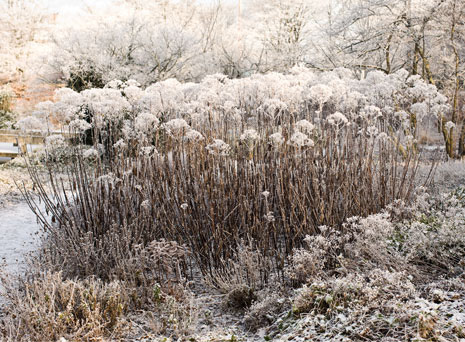 Bild102_1
