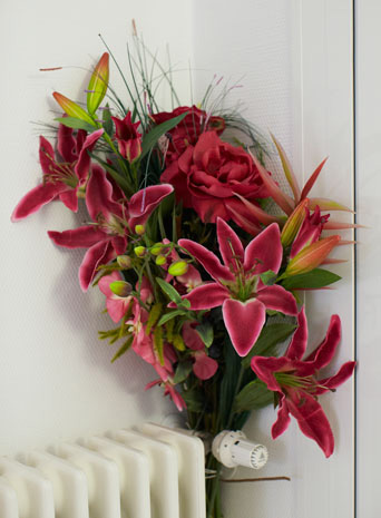 Bild82