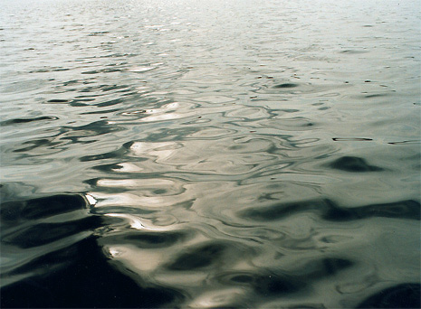 Bild97